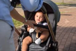 CHICCO Best Friend Pro City Map Re_Lux -Chicco 08079461570000 000 00 07986685722100402 1280x1280