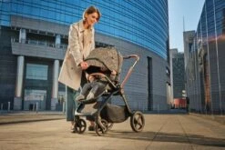 CHICCO Trio Mysa I-Size - Kory Essential - Glam Dew Re_Lux 25 CHICCO Trio Mysa I-Size - Kory Essential - Glam Dew Re_Lux -Chicco 08087027710000 000 00 08702600023031602 1280x1280