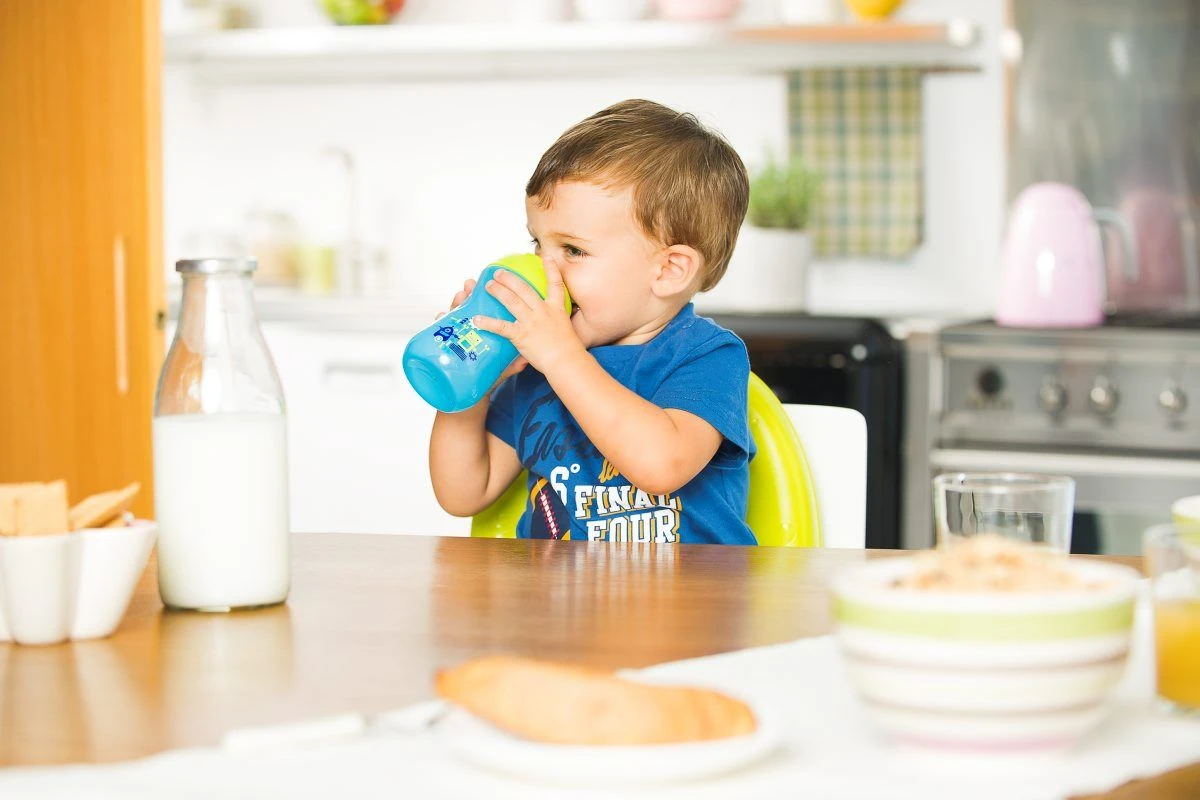 CHICCO Tasse D'apprentissage 12M+ 4 CHICCO Tasse D'apprentissage 12M+ – Image 2